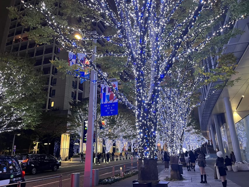 Cycling Tour in Tokyo - Important Information