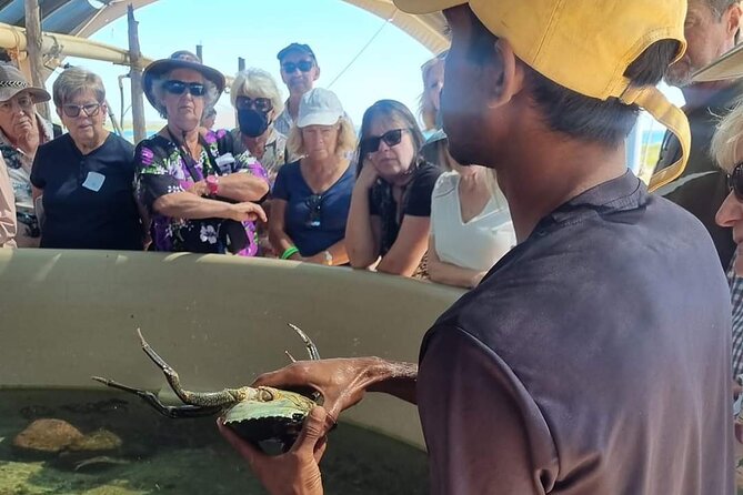 Dampier Peninsula & Aboriginal Communities From Broome (Optional Scenic Flight) - Lunch and Relaxation Time