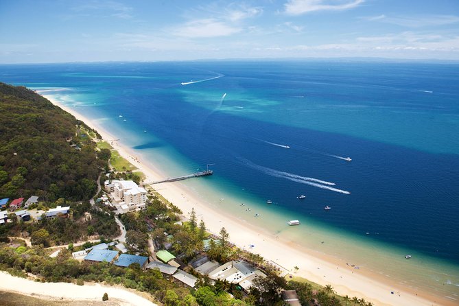 Dolphin Feeding Day Cruise to Tangalooma Island Resort on Moreton Island - Reviews and Testimonials