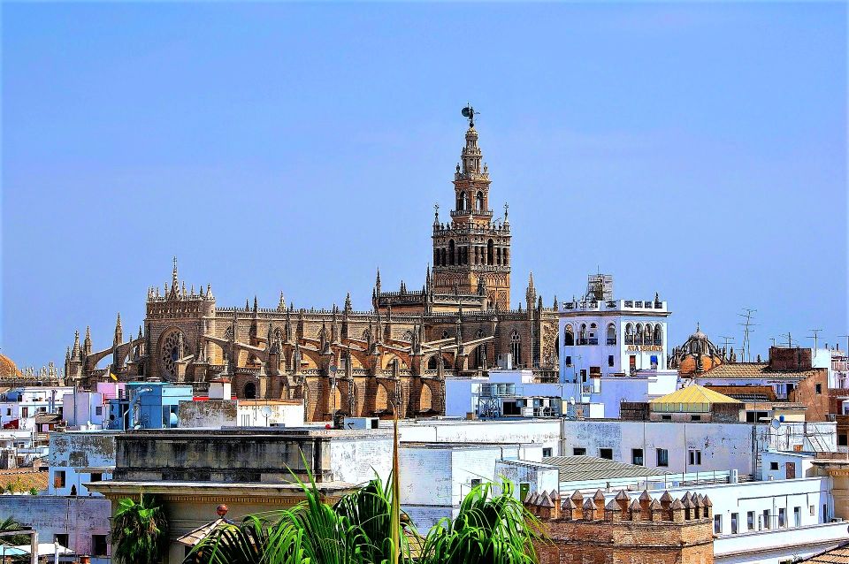 From Costa Del Sol: Seville and Royal Alcázar Palace - Seville Activities