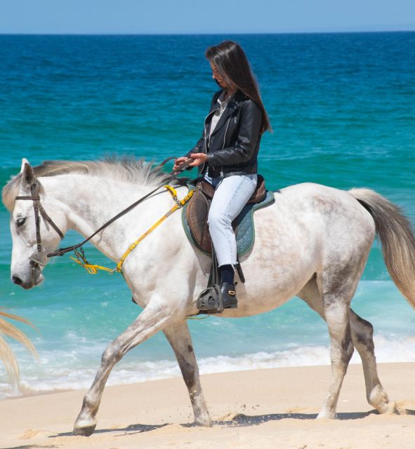 From Evora: Horseback Riding on Comporta Beach - Inclusions and Restrictions