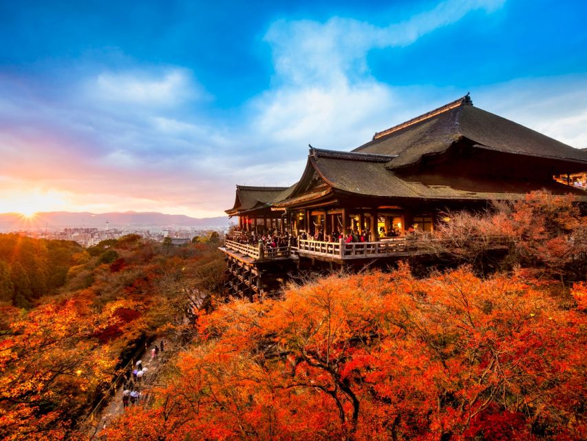 From Osaka: Kyoto Sightseeing Tour With Scenic Train Ride - Customer Reviews