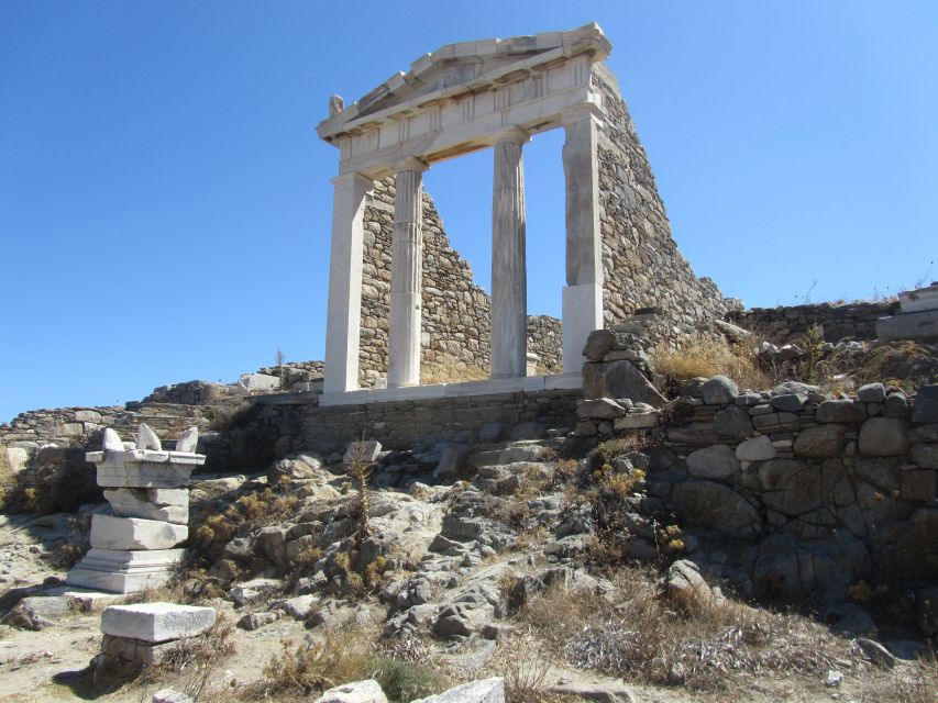 From Paros: Delos and Mykonos Full-Day Boat Trip - Customer Reviews