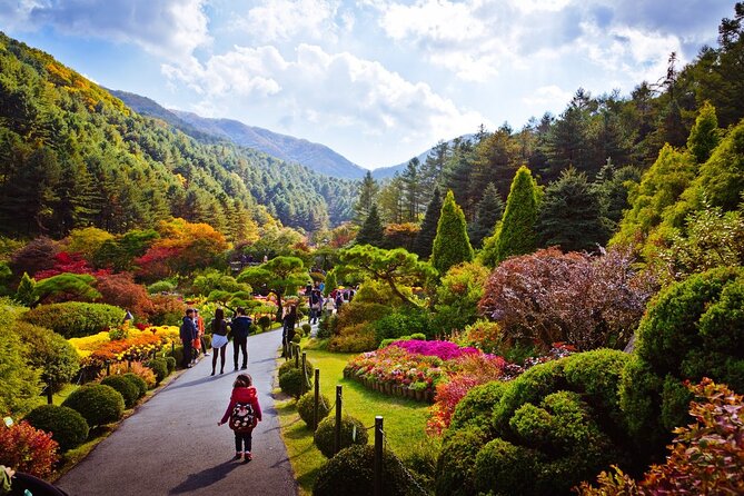 Full Day Private Tour Nami Island, Garden & Petite France - What to Expect on This Tour