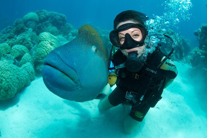 Great Barrier Reef Diving and Snorkeling Cruise From Cairns - Reviews and Ratings Analysis