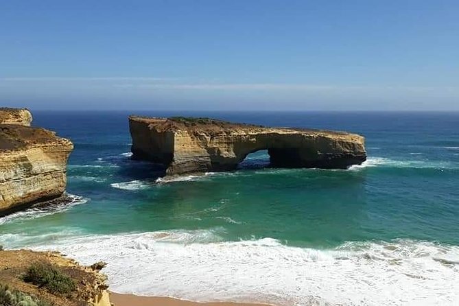 Great Ocean Road 12 Apostles Kangaroo & Koala Tour - Reviews and Testimonials