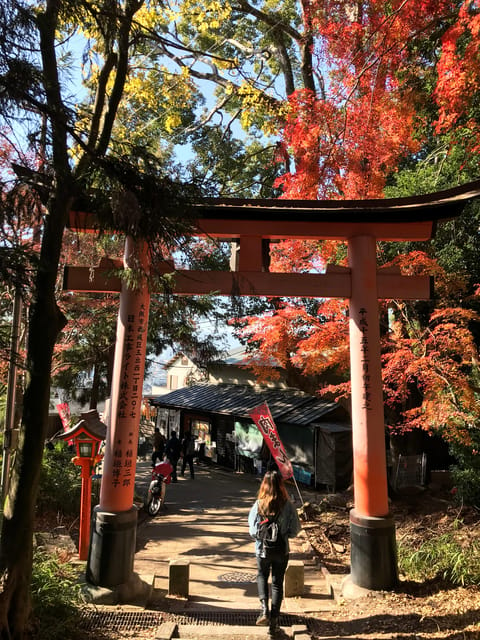 Inside of Fushimi Inari - Exploring and Lunch With Locals - Booking Details