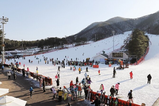 Jisan Forest Ski Resort One Day Tour With Basic Lesson - Getting to Jisan Forest Resort