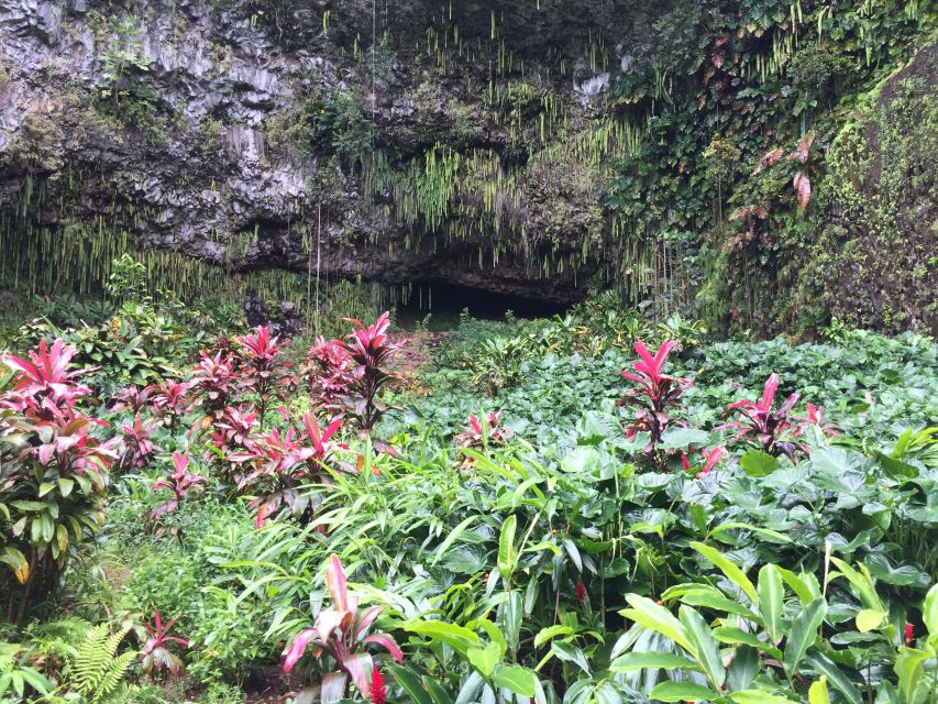 Kauai: Full-Day Tour With Fern Grotto River Cruise - Booking Options and Gift Availability