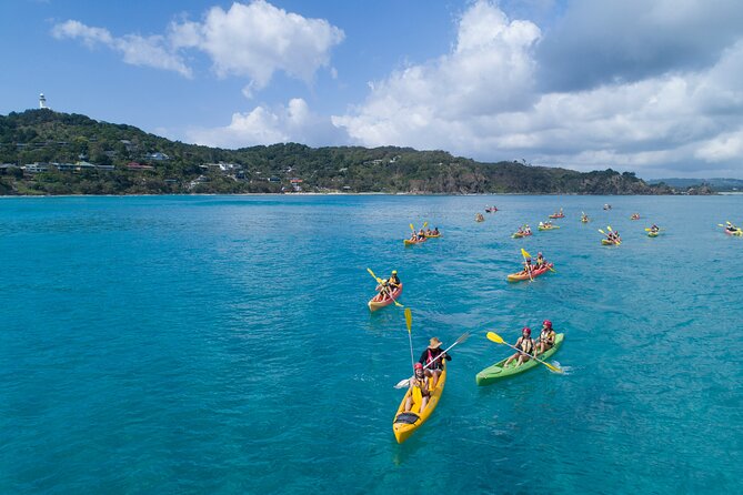 Kayaking With Dolphins in Byron Bay Guided Tour - Reviews and Success Rate