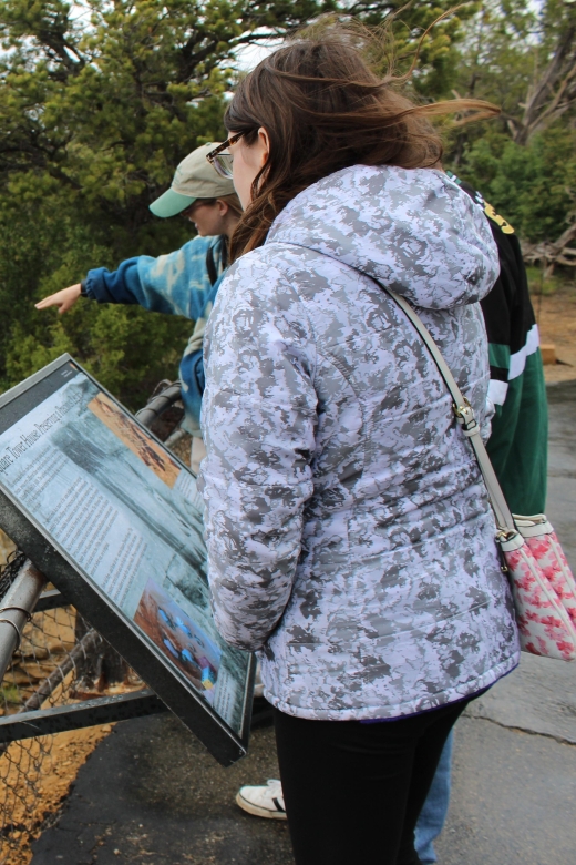 Mesa Verde National Park — Half Day Tour - Common questions