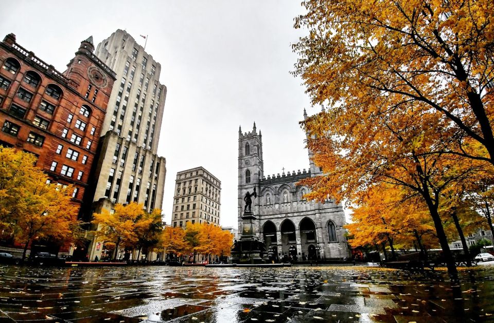 Montreal: Explore Old Montreal Small-Group Walking Tour - Highlights