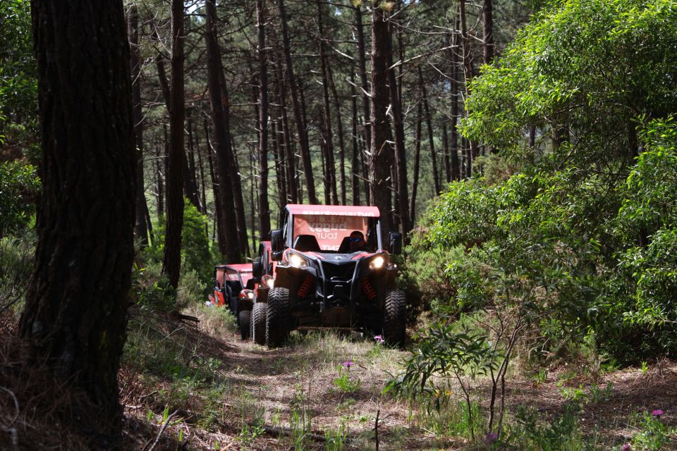 Nazaré: 4x4 Buggy Tour With Guide - Booking and Cancellation Policy