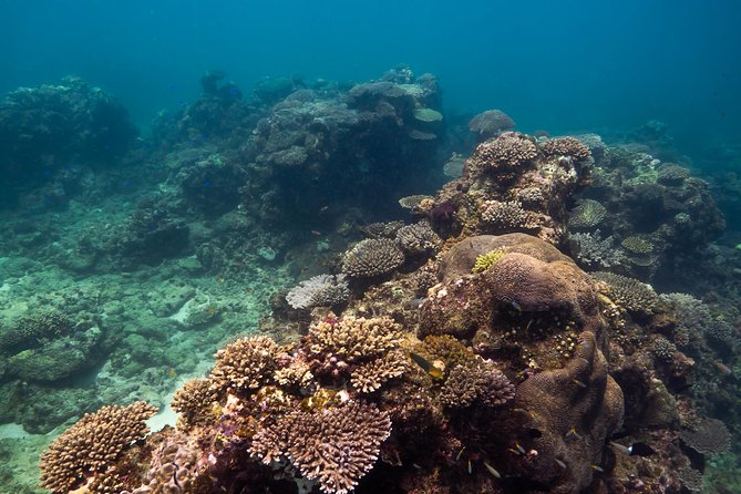 Ningaloo Reef Snorkel and Wildlife Adventure - Safety First on Our Tours