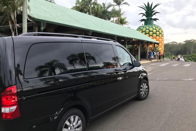 Private Transfer From Noosa to Sunshine Coast Airport 7 Seater - Transfer Schedule and Timings