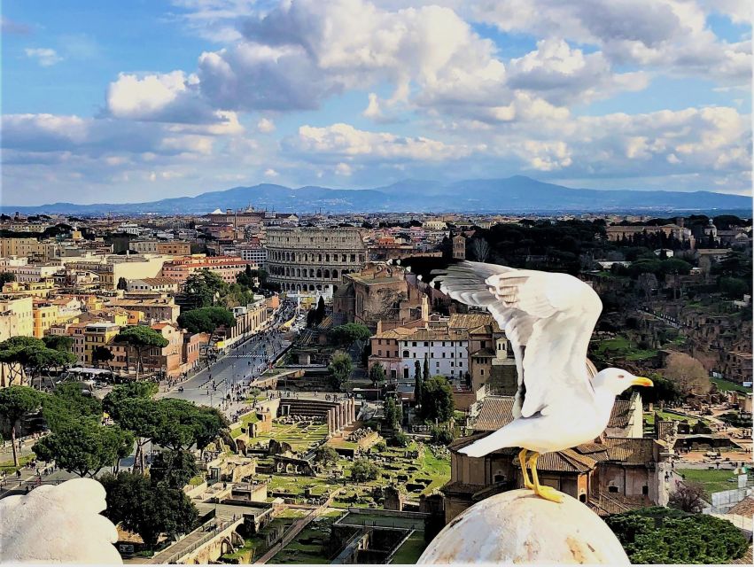 Rome: Vatican, Colosseum & Main Squares Tour W/ Lunch & Car - Important Information