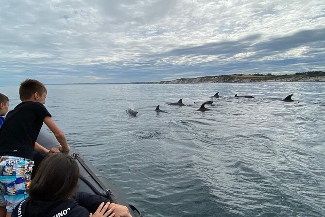 Sea Trip Along the Basque Coast, Departure From Saint-Jean-De-Luz - Local Cultural Insights