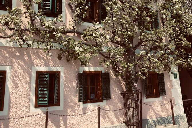 Self-Guided Private Tour of Hallstatt. Best Photo-Points, Panoramic Views, Cafes - Gasthof Weisses Lamm: Tour End Spot