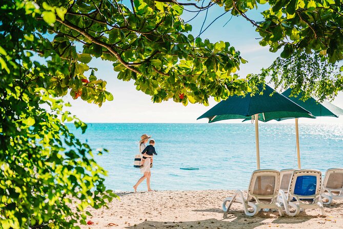 Snorkelling and Glass Bottom Boat at Green Island From Cairns - Island Activities and Fun