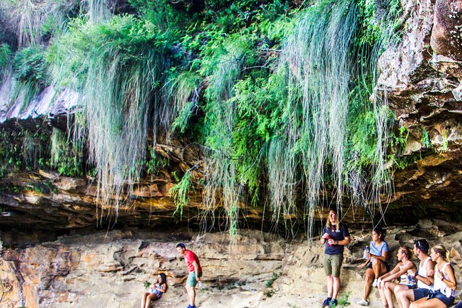 Sunset Blue Mountains Wilderness & Waterfall Tour From Sydney - Cancellation and Refund Policy