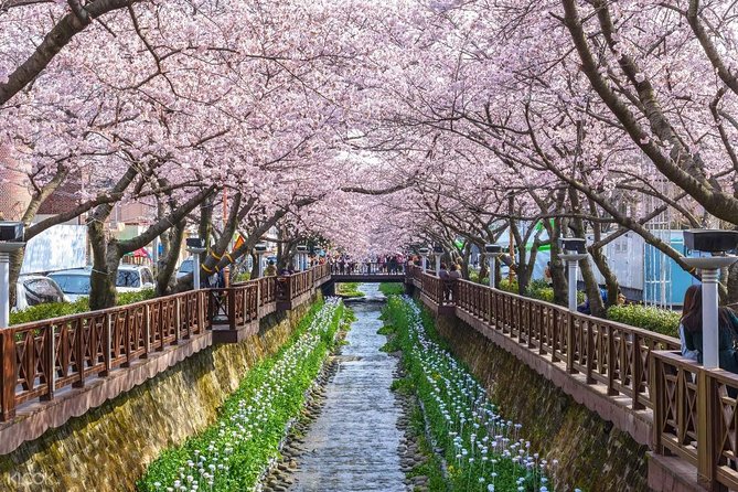 The Beauty of the Korea Cherry Blossom Discover 9days 8nights - Meeting Point and Pickup Options