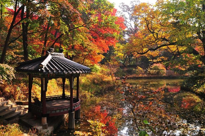 The Beauty of the Korea Fall Foliage Discover 9days 8nights - Fall Foliage Tour Highlights