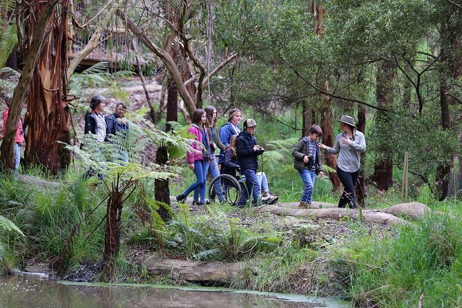 Walk With Wildlife: Guided Tour in Great Ocean Road - Reviews and Testimonials From Travelers