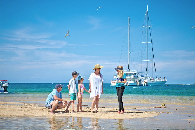 Wavedancer Low Isles Great Barrier Reef Sailing Cruise From Palm Cove - Beach Walk and Wildlife Spotting