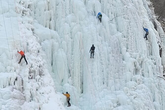 Wondae-ri Birch Forest and Inje Maebawi Ice Wall Full Day Tour - Important Safety and Access