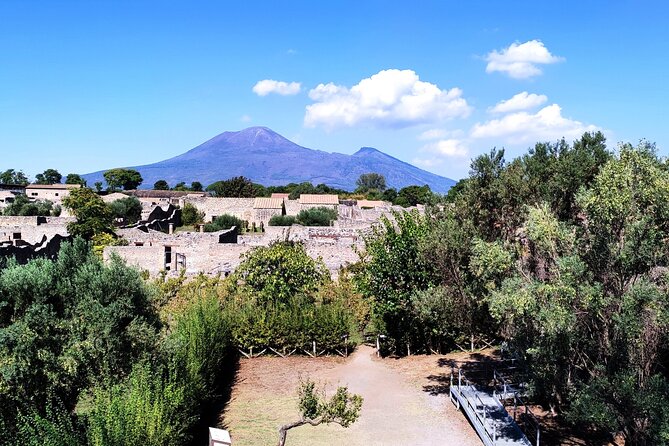 2 Hours Private Tour in Pompeii With Archaeologist - Meeting Point Details