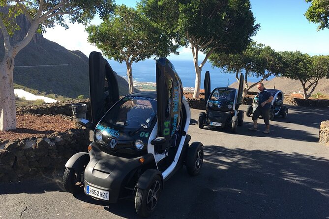 4 Hours Eco Safari Tour With Electric Car in Tenerife - Price Details