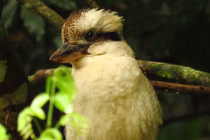 Byron Bay Wildlife Safari - Understanding the Cancellation Policy