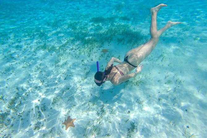 Cozumel Snorkel Tour: Coral Reefs, El Cielo & Beach Break - Common questions