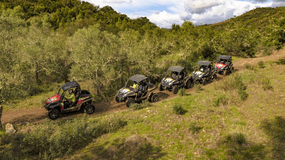 From Albufeira: Half-Day Buggy Adventure Tour - Safety Measures