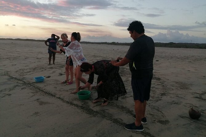 From Huatulco: Turtle Release & Bioluminescence - Common questions