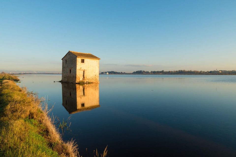 From Valencia: Albufera Tour With Paella, Boat Ride & Walk - Directions