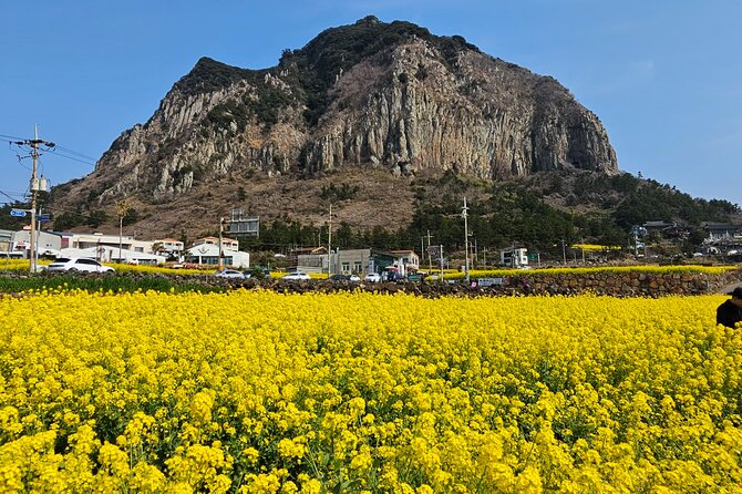 Full-Day Private Tour in Jeju Island - Preparing for Your Jeju Island Tour