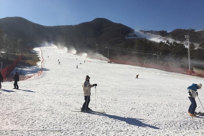 Jisan Forest Ski Resort One Day Tour With Basic Lesson - Tour Schedule and Itinerary