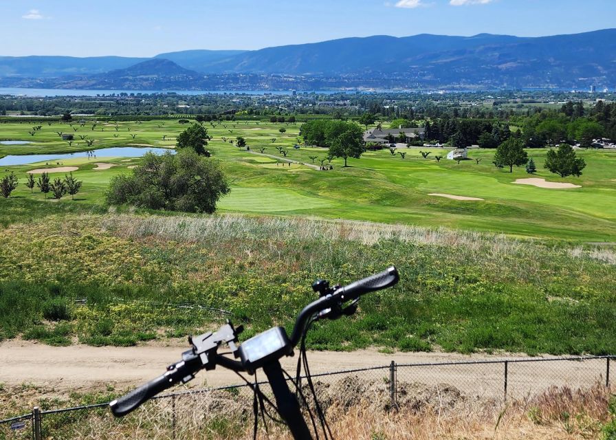 Kelowna: E-Bike Bee Tour W/ Tastings, Lunch, and Audioguide - Customer Reviews