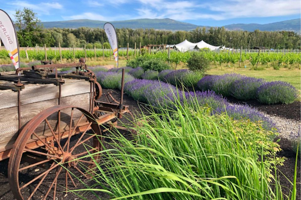 Kelowna: E-Bike Guided Wine Tour With Lunch & Tastings - Meeting Point