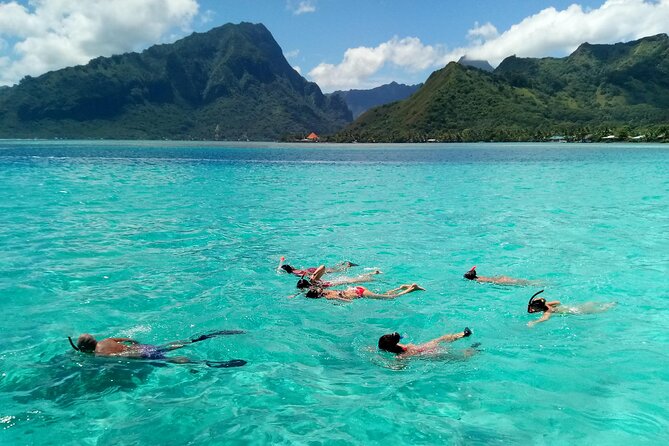 Land and Sea Cultural Tour to Discover Traditions, Heritage and the Lagoon - Final Words