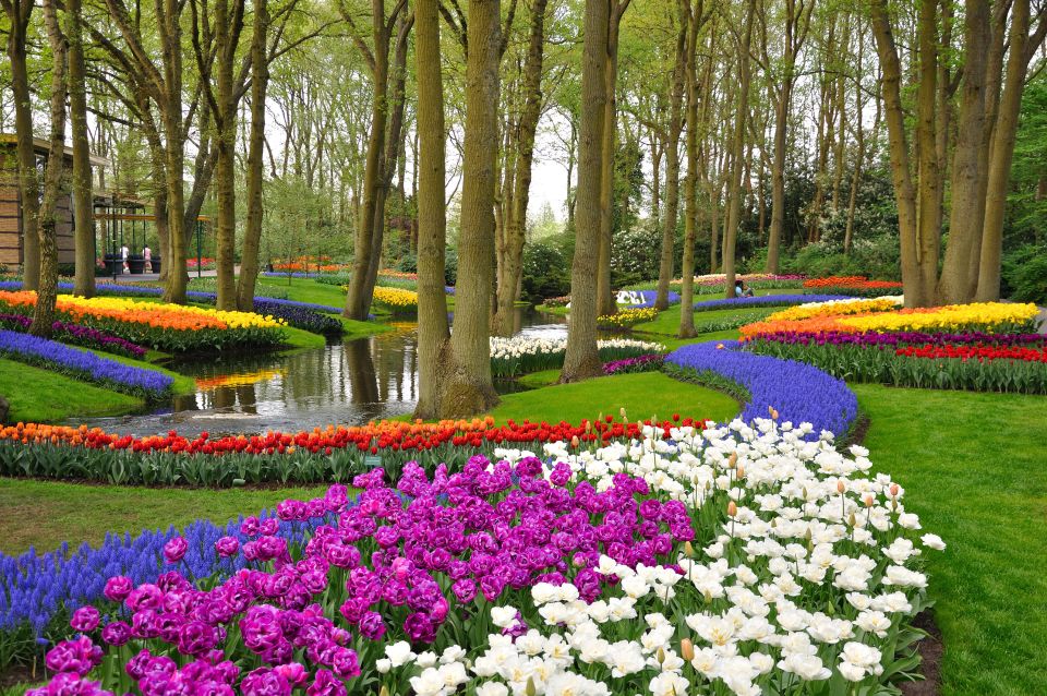 Magical Delft and the Keukenhof Estate: Tulips Galore - Miscellaneous Feedback