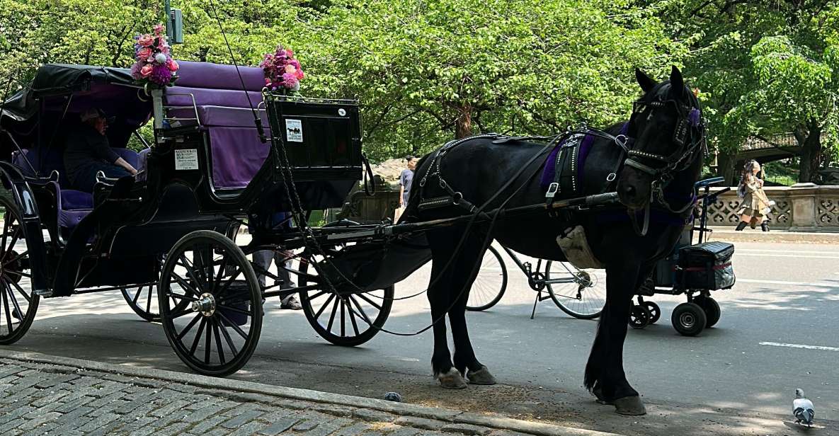 NYC Empire State Horse Carriage Rides (Central Park Tour) - Directions