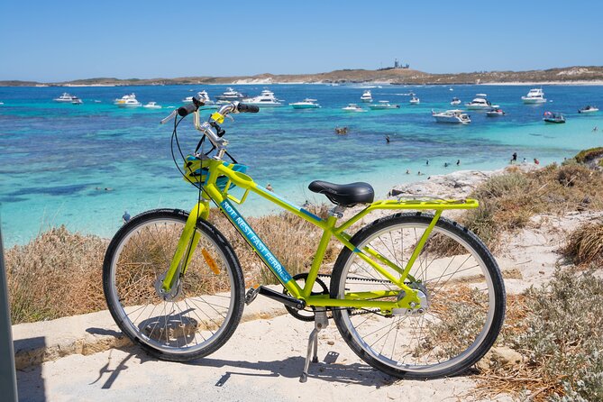 Rottnest Island Fast Ferry From Hillarys Boat Harbour Including Bike Hire - Reviewer Experiences and Ratings