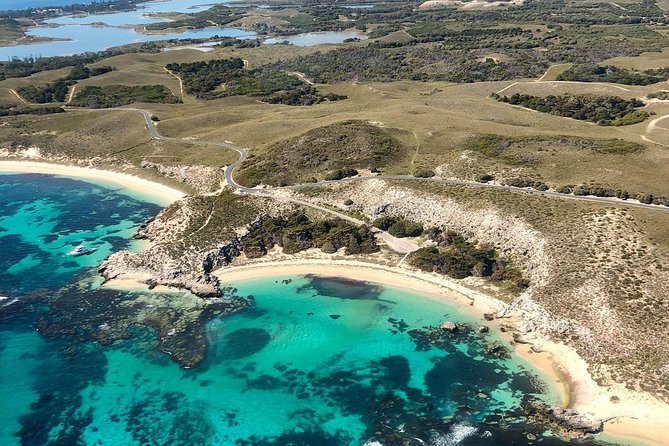 Rottnest Island Scenic Flight or 1/2 Day Stopover - Reviews and Testimonials