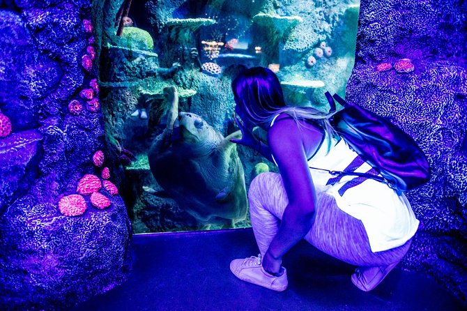 SEA LIFE Sydney Aquarium Entrance Ticket - Ticket Inclusions and Pricing