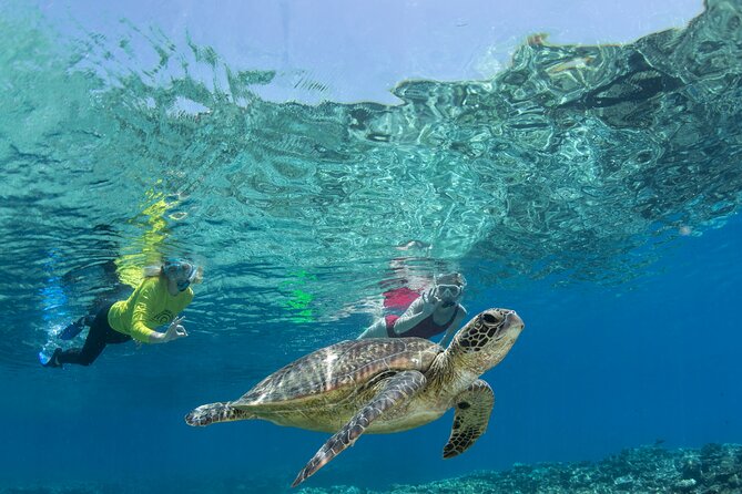 Silverswift Dive and Snorkel Great Barrier Reef Cruise - Meeting the Crew and Guides