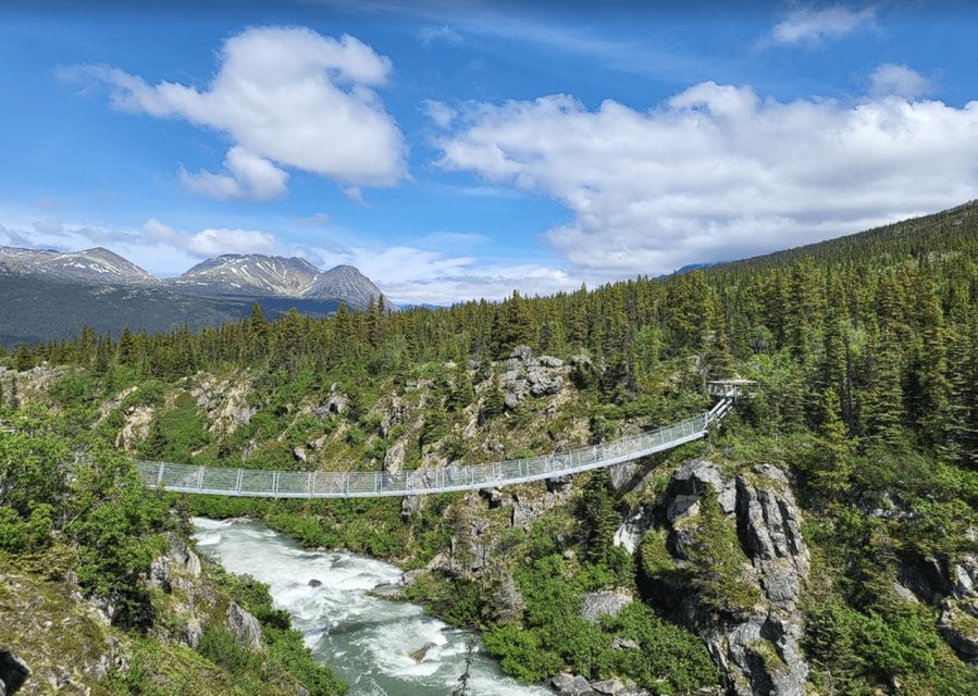 Skagway: Klondike Highway & Yukon Bus Tour With Husky Kennel - Common questions