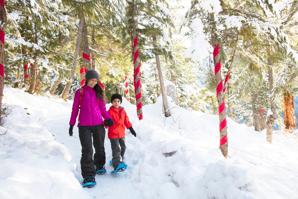 Squamish: Sea to Sky Gondola Admission Ticket - Accessibility