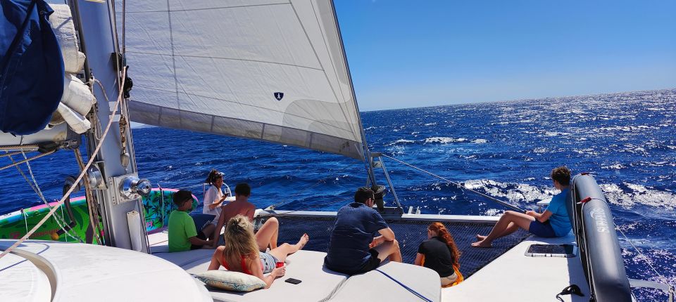 Tenerife: PRIVATE Catamaran Cruise With Lunch and Drinks - Price and Duration